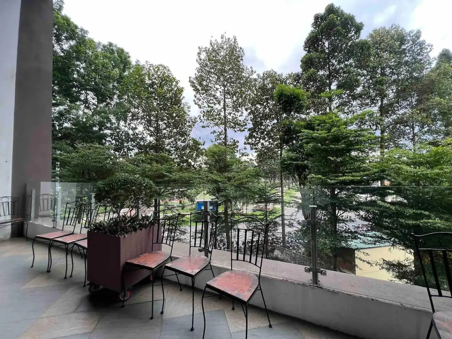 Can Ho Cao Cap Gan San Bay Tsn Ho Chi Minh City Apartment